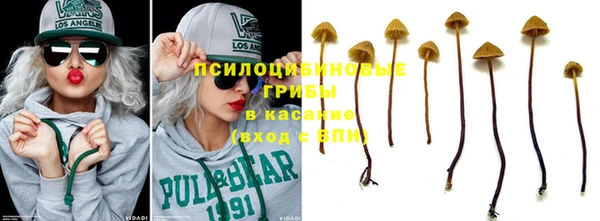 дмт Гусиноозёрск
