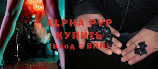 гашик Дмитриев