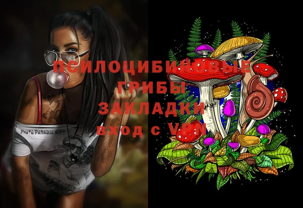 гашик Дмитровск