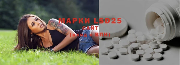 экстази Гусев
