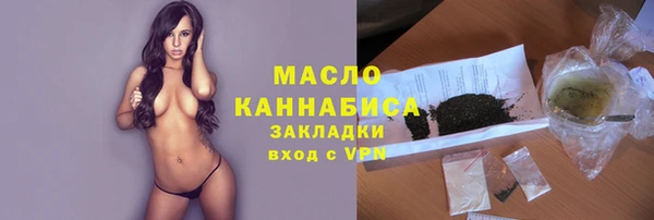 стаф Гусь-Хрустальный