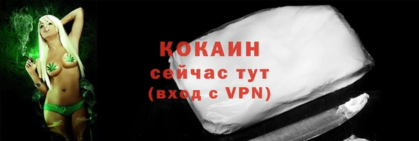 экстази Гусев