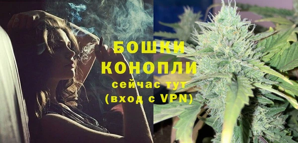 гашик Дмитриев