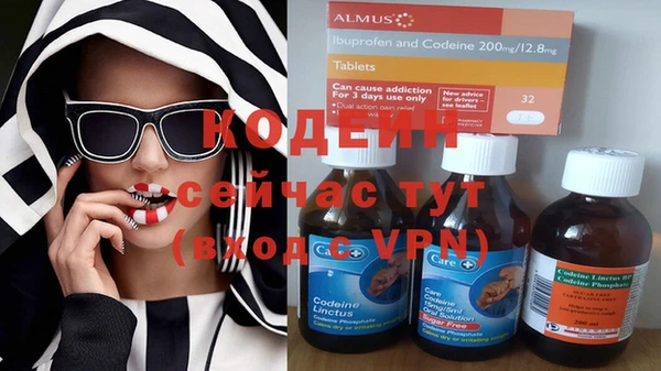 гашик Дмитриев
