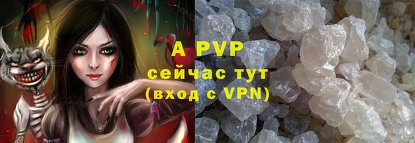 стаф Гусь-Хрустальный
