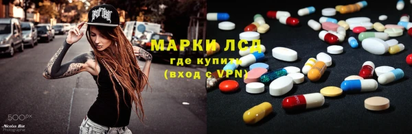 гашик Дмитровск