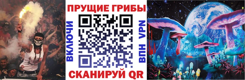 Галлюциногенные грибы мицелий  Купить где  Камызяк 
